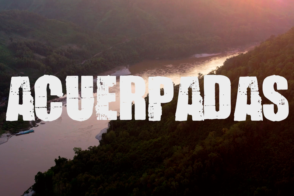 Título Proyecto Acuerpadas