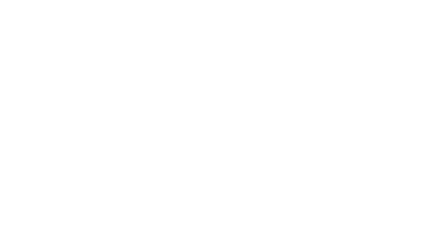 Logo cliente P4Q