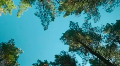 https://www.posik.es/panarama/wp-content/uploads/2026/05/biscay4.webp