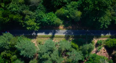 https://www.posik.es/panarama/wp-content/uploads/2026/05/medusa4.webp