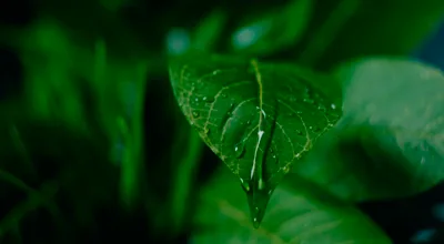https://www.posik.es/panarama/wp-content/uploads/2026/05/spiuk3.webp