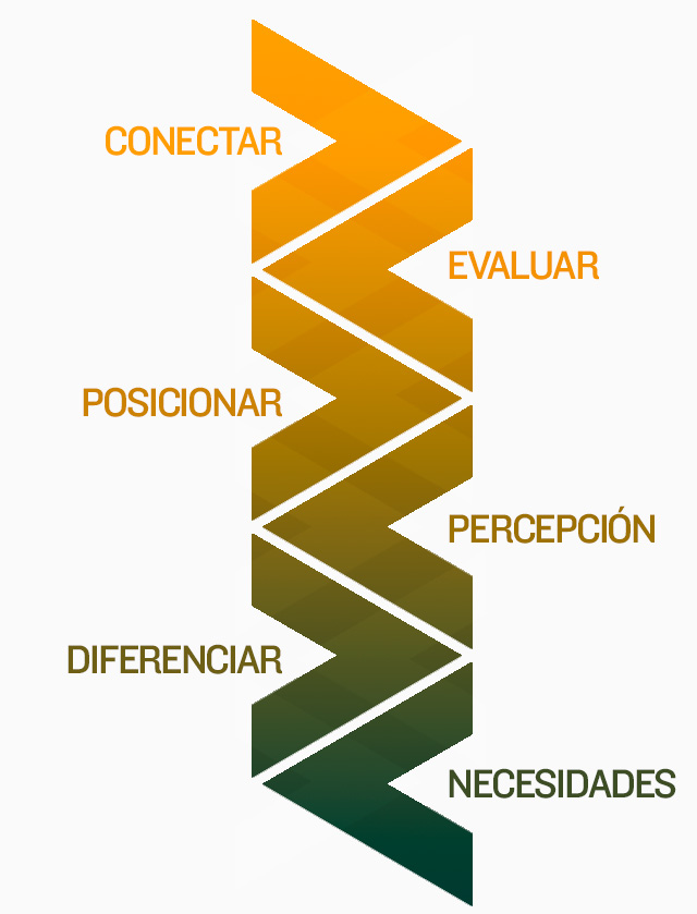 posik-fases-branding